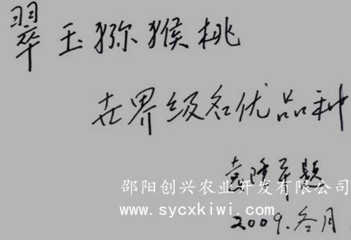 供應(yīng)國家標準獼猴桃嫁接一級苗|東紅|翠玉|紅陽|金艷|楚紅|青錢柳苗|金銀花苗|園林綠化|經(jīng)濟果林苗木批發(fā)