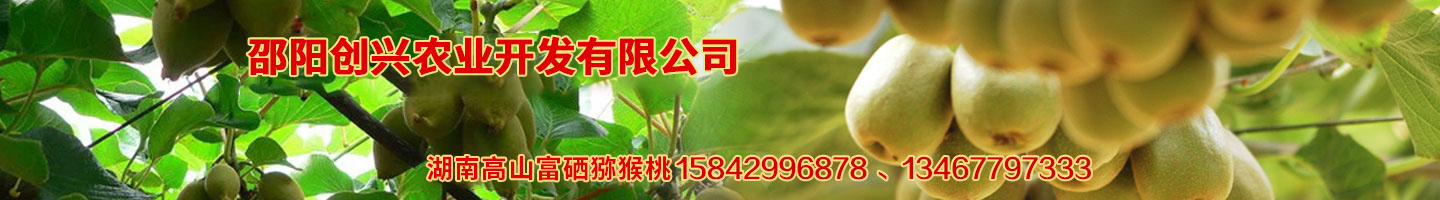 邵陽創(chuàng)興農(nóng)業(yè)開發(fā)有限公司 湘蕾金銀花苗 優(yōu)質(zhì)獼猴桃苗 獼猴桃苗批發(fā)價格 湖南金銀花苗 