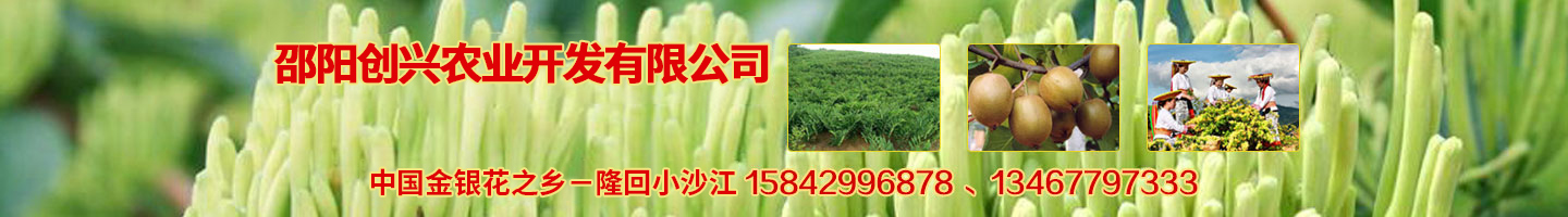 邵陽創(chuàng)興農(nóng)業(yè)開發(fā)有限公司 湘蕾金銀花苗 優(yōu)質(zhì)獼猴桃苗 獼猴桃苗批發(fā)價格 湖南金銀花苗 